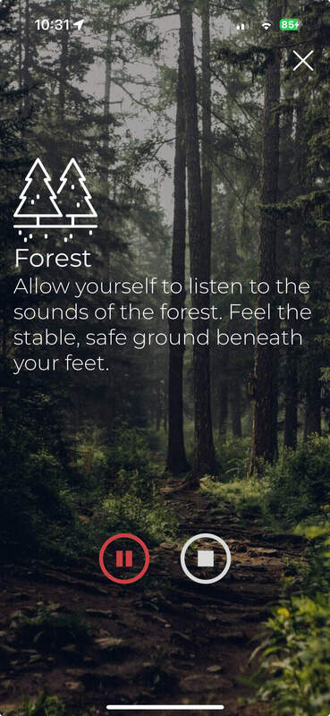 forest